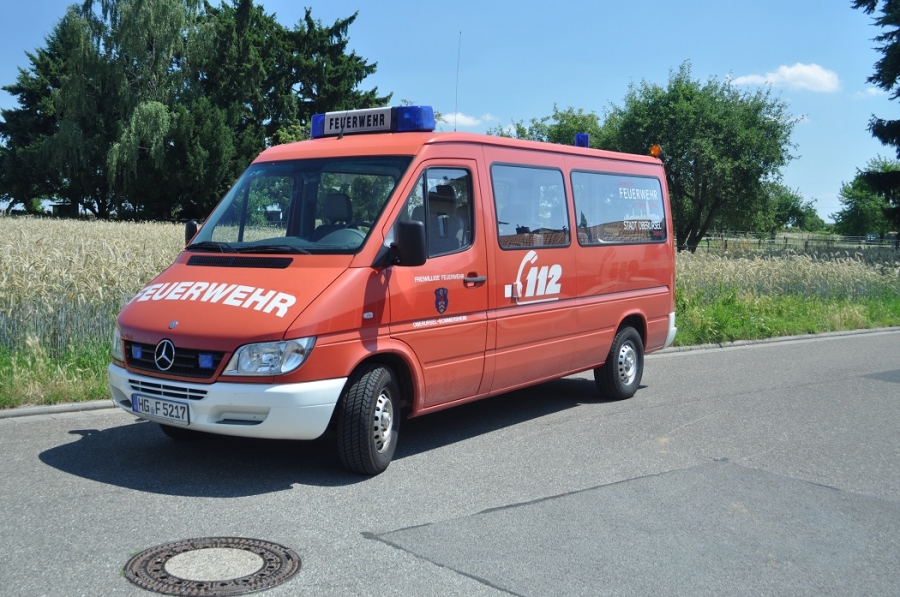 Mehr über den Artikel erfahren MTF (2005-2021)