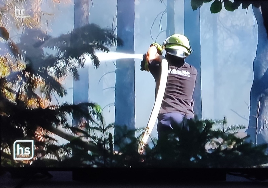 Du betrachtest gerade F Wald 2 – Waldbrand